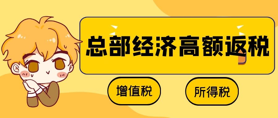 湖南國(guó)家級(jí)園區(qū) 國(guó)資控股 財(cái)政返還 即征即返！